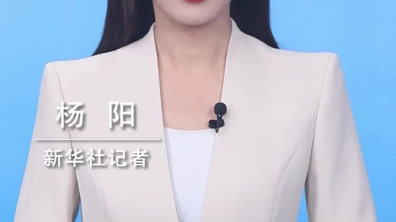 金融数据治理方案：构建高效、合规的数据管理体系