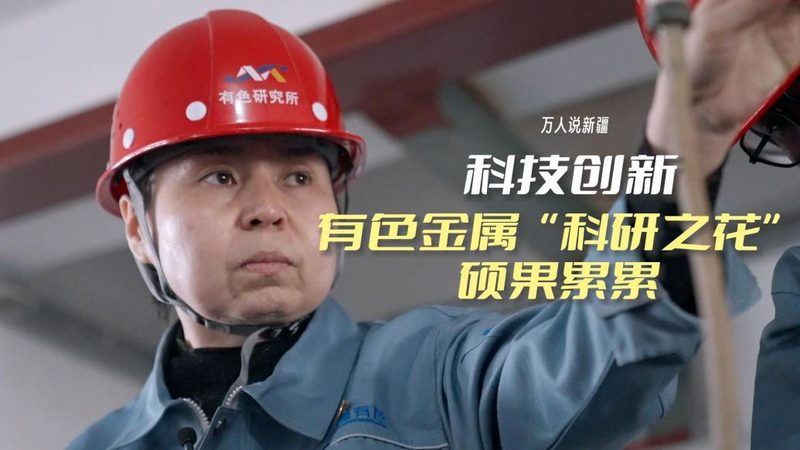 人工智能应用定制开发的成本构成